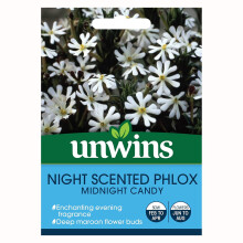 Unwins - Flower - Night Scented Phlox Midnight Candy Seeds