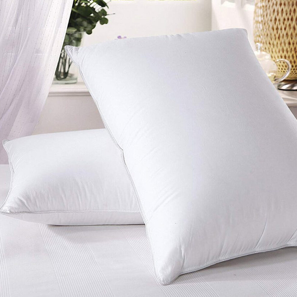 (FIRM DELUXE PILLOW x 2) MOONLIGHT BEDDING ANTI ALLERGY PILLOWS x 2, WHITE