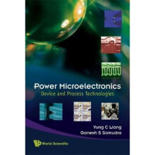 Power Microelectronics: Device And Process Technologies