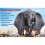 Disney Disney's Dumbo Live Action [3D Blu-ray] [2019] 2