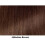 (4 (Medium Brown)) Sleek Beyonce Synthetic Wig with Fringe BestQuality 2