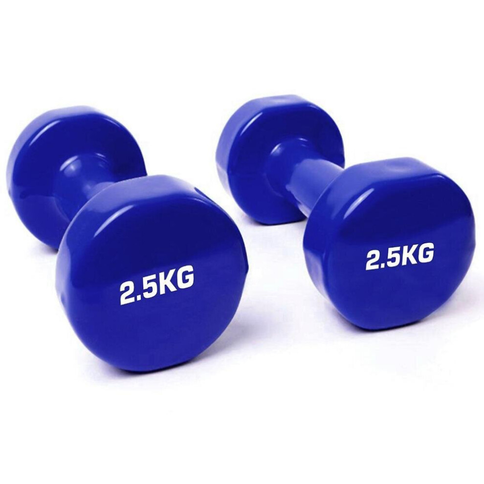 Solid Vinyl Dumbbell Pair 2.5Kg Blue