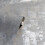 Arthouse Arthouse Stone Textures Charcoal Wallpaper 2