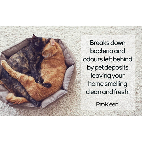 Pro-Kleen (20L, Spring Bloom) ProKleen Pro+ Carpet Shampoo Pet Odour Remover 1
