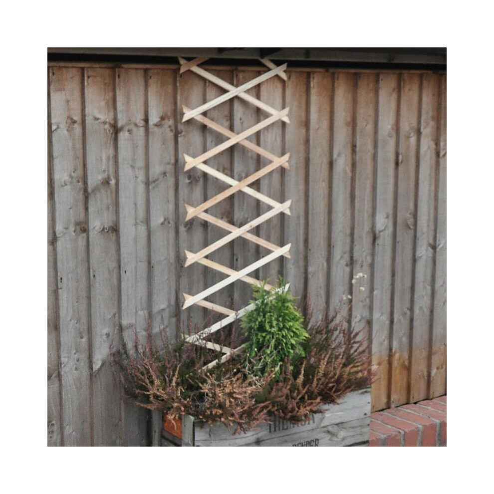 Kingfisher 6Ft X 1Ft Garden Trellis For Climbing Plants & Walls