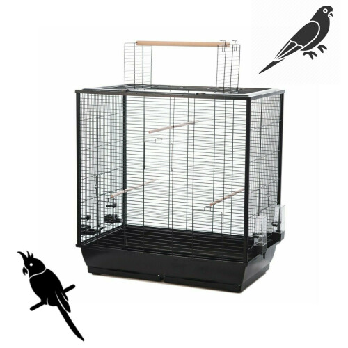 Black Bird Cage For Cockatiel Budgie Perches Feeders The Waldorf