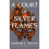 A Court of Silver Flames 1