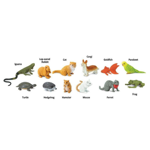 Safari Ltd. Pets TOOB - 12 Φιγούρες Κατοικίδιων - Εκπαιδευτικά Παιχνίδια για Παιδιά 3+ 2