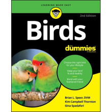 Birds For Dummies | Paperback