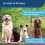 PetSafe PetSafe Clik-R Training Tool, Obedience Aid, Clicker For Dogs - CLKR-RTL 4