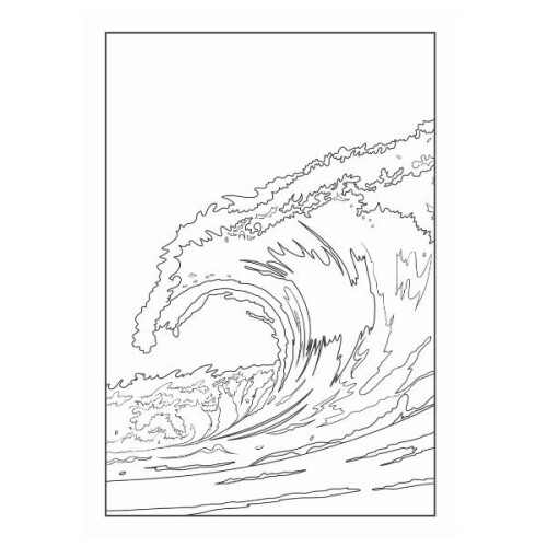 Patterns In Nature Advanced Colouring Book - P2927 2