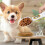 Measuring Spoon Kitchen Tool Digital Electronic Food Spice Sugar Scale 3