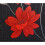 Flower Wallpaper Floral Textured Glitter Effect  Silver Black Grey Red 2
