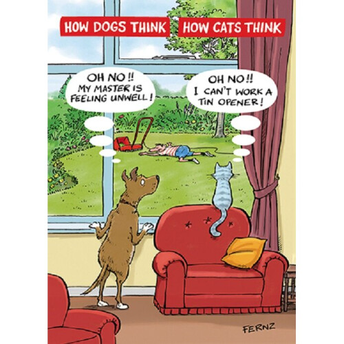 https://cdn.onbuy.com/product/65aca36cbaf4e/500-500/cat-dog-funny-birthday-greeting-card-fernz-animalfunction-humour-cards.jpg