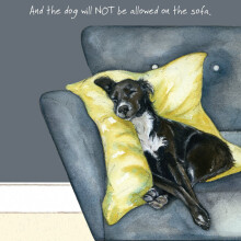 Dog Not Allowed On The Sofa Little Dog Laughed Greeting Card Blank Inside