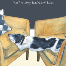 Sorry They Are Both Taken Little Dog Laughed Greeting Card Blank Inside
