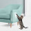 4x Pet Cat Scratch Guard Mat Sofa Protector Scratching Post Furniture 2