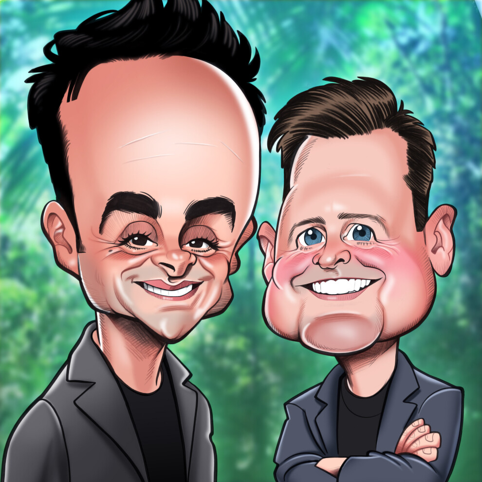 Ant and Dec Birthday Greeting Sound Card Blank Inside Really Wild Cards