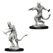 D&D Nolzurs Fantastiska Obehandlade Miniatyrer: Våg 5: Tiefling Manlig Lurendrejare