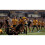 Rugby Challenge 4 Xbox One | Series X Game 2