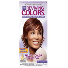 DARK&LOVELY SOFTSHEEN CARSON GO INTENSE HAIR COLOR DYE393 SPICY AUBURN