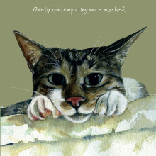 Cat Contemplating Mischief Little Dog Laughed Greeting Card Blank Inside