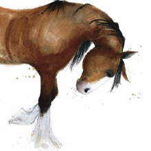Shire Horse Animal Magic Square Art Greeting Card Blank Inside Any Occasion