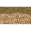 20KG - Easibed Easichick Poultry Bedding - Dust & Bacteria Free 2