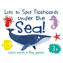 Lots to Spot Flashcards: Under the Sea!