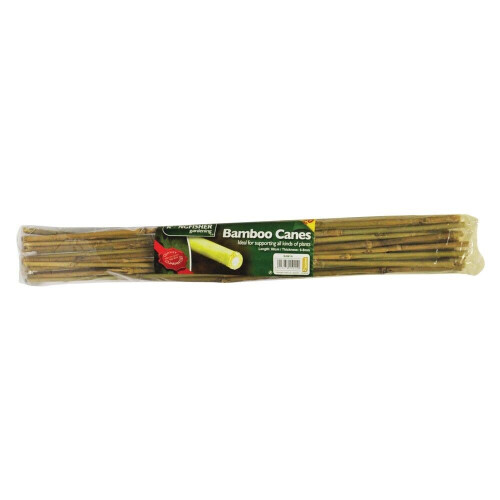 Kingfisher Kingfisher 60cm Bamboo Canes 20 pack