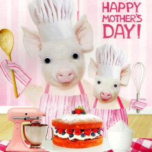 Baking Pigs Happy Mother's Day Card Tracks Gogglies Greeting Cards