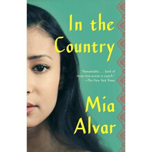 In the Country: Stories