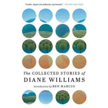 The Collected Stories Of Diane Williams - Book