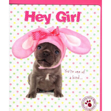 Hey Girl Cute Puppy Dog Studio Pets Easter Greeting Card Greetings Cards