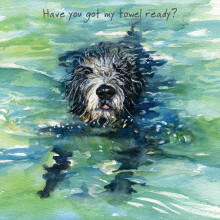 Have You Got My Towel Ready Little Dog Laughed Greeting Card Blank Inside