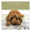 Little Cockapoo Little Dog Laughed Greeting Card Blank Inside 2