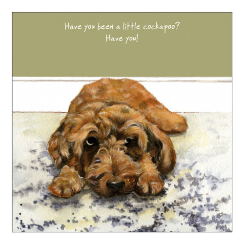 Little Cockapoo Little Dog Laughed Greeting Card Blank Inside