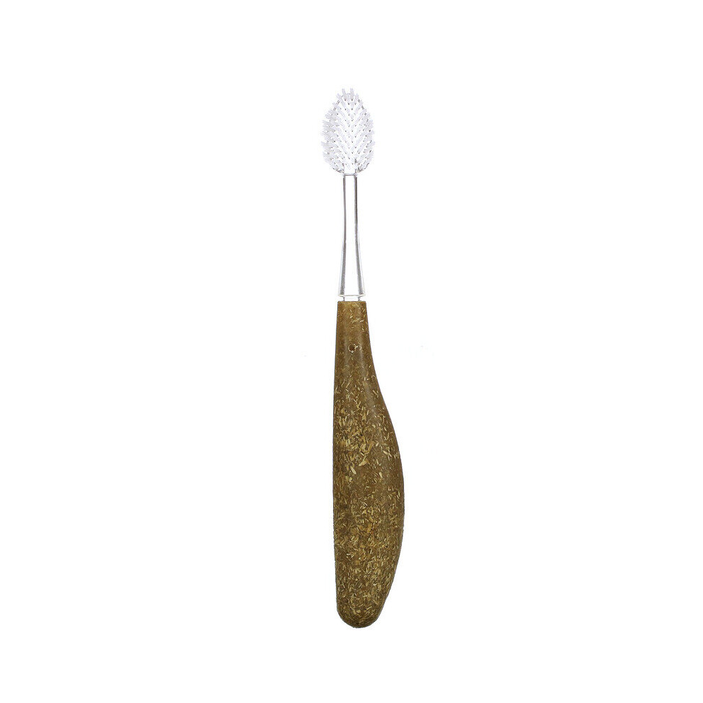 Radius , 1 Source Toothbrush, Medium