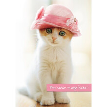Avanti Mother's Day Cute Kitten Greeting Card Funny Range Cards
