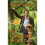 My Garden World | Paperback 1