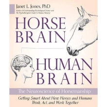 Horse Brain, Human Brain