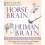 Horse Brain, Human Brain 1