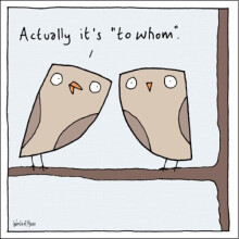 Owls To Whom Funny World Of Moose Humour Greeting Card Blank Inside