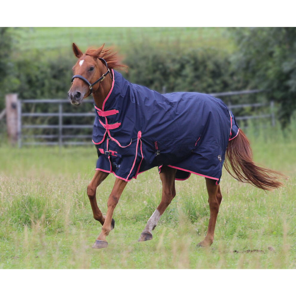 (5'6'') Gallop Trojan 50g Horse Pony Combination Turnout Rug