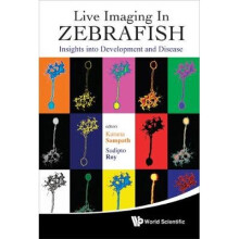 Live Imaging In Zebrafish: Insights Into Development And Disease