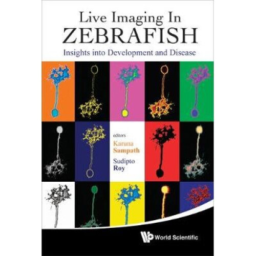 Live Imaging In Zebrafish: Insights Into Development And Disease