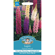 Mr Fothergill's Grow Your Own Lupin Festival Mixed Flowering Seeds
