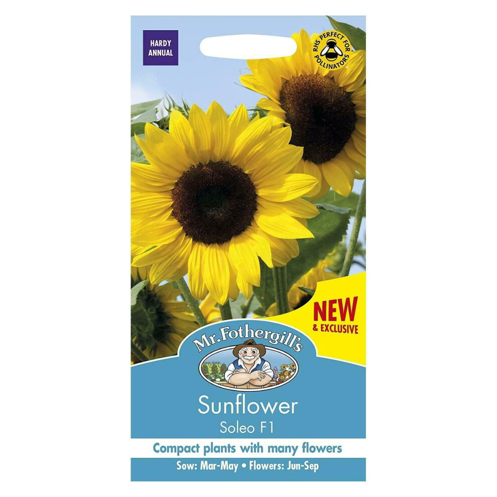 Mr Fothergill's Bright Colour Sunflower Seeds Soleo F1