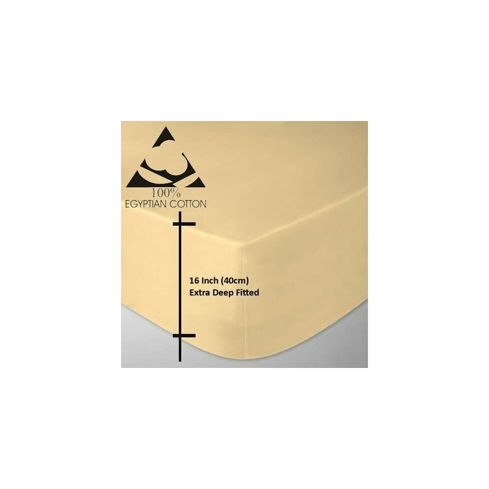 (Latte, Super-King) 100% Egyptian Cotton 200 Thread 40CM Fitted Sheet