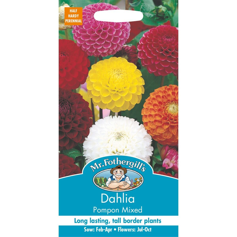Mr Fothergill's - Pictorial Packet - Flower - Dahlia Pompon Mixed - 50 Seeds
